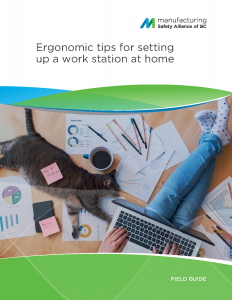 Ergonomic Guidebook for Remore Workers