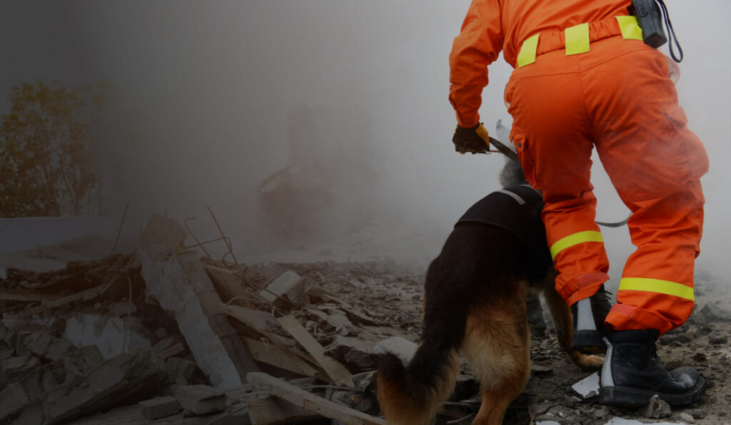 Climate and Disaster Planning: Emergency Management Strategy