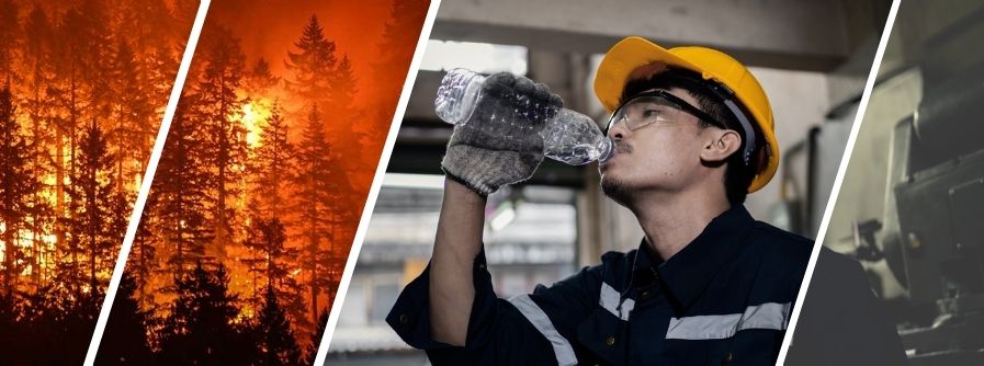 Heat Stress and Wildfires