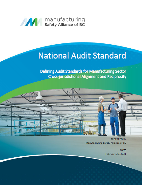 National Audit Standard Plan